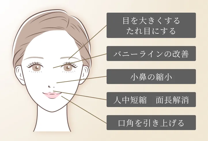 目を大きくするたれ目にする、バニーラインの改善、小鼻の縮小、人中短縮 面長解消、口角を引き上げる